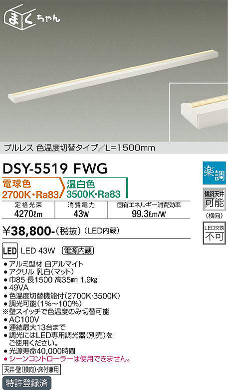 dsy5519fwg