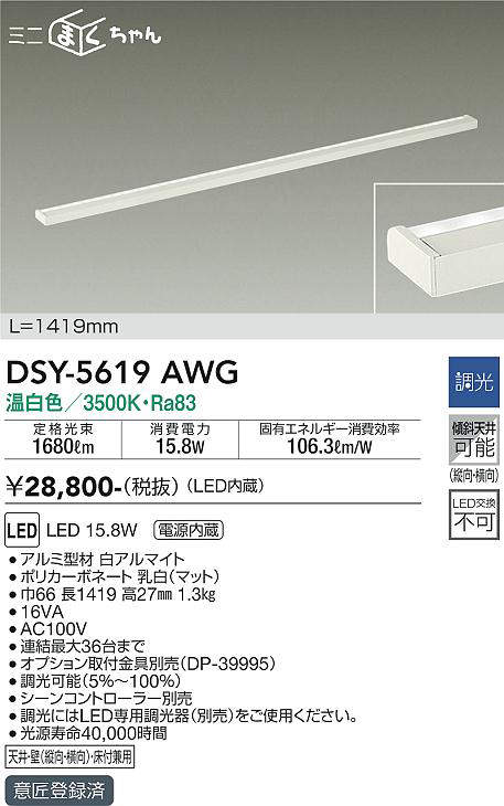 dsy5619awg