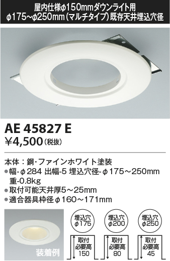 ae45827e