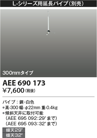 aee690173