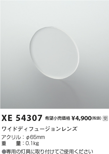 xe54307